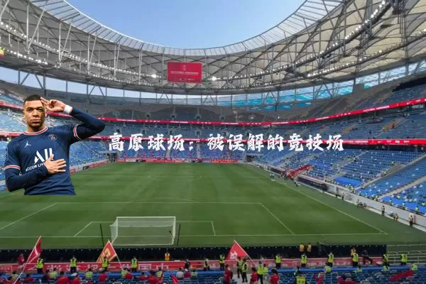 高原球场：被误解的竞技场